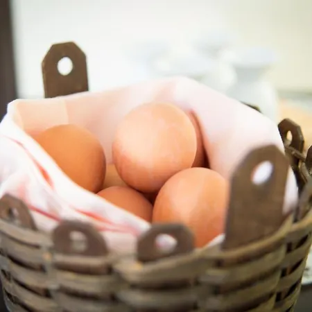 Hotel Villa-ingeborg